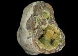 Yellow Crystal Filled Septarian Geode - Utah #97244-2